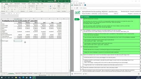 Read Online Aat Excel Spreadsheets Exam Practice Papers 