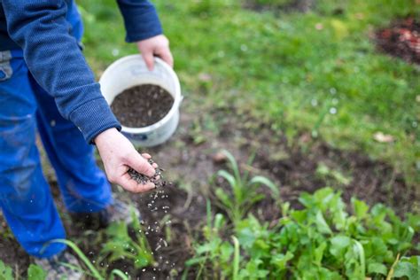 ab wann kann man im garten düngen