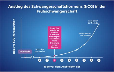 ab wann nimmt man in ss zu