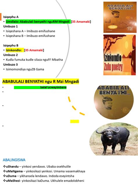 ababulali benyathi summary