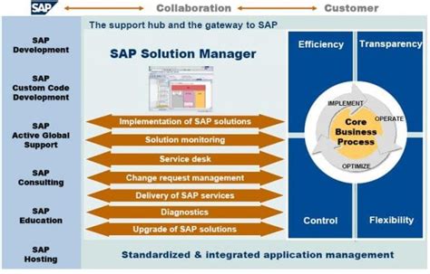 Read Abap Sap Solution Manager 