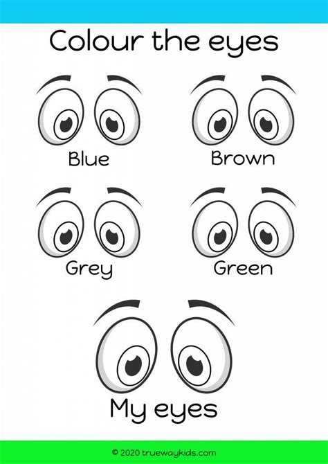 Abc Worksheets For Preschool Preschool Eyes Worksheet For Kindergarten - Preschool Eyes Worksheet For Kindergarten