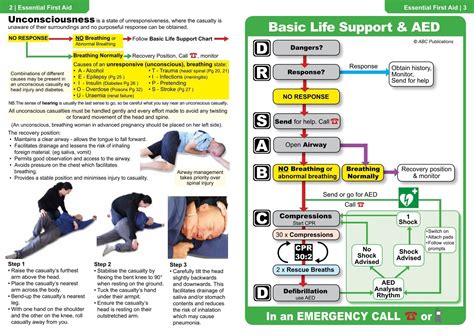 Download Abc First Aid Guide Download 