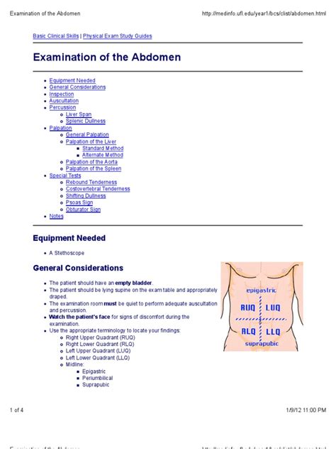 Full Download Abdomen Assessment Documentation 