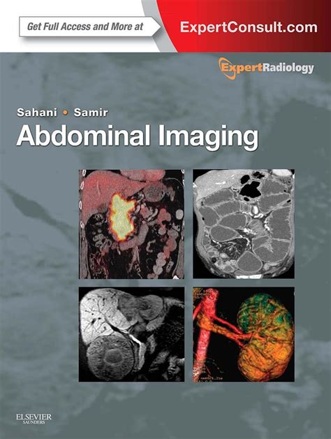 Abdominal Imaging 2 Volume Set Expert Radiology Series Expert Consult Online And Print 1e
