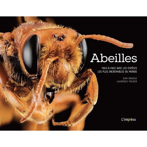 Abeilles Face A Face Avec Les Espa Ces Les Plus I