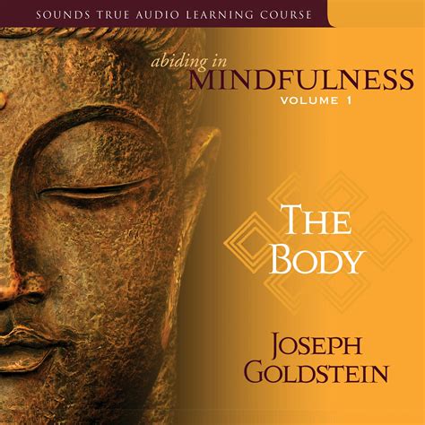 abiding in mindfulness volume 1 the body