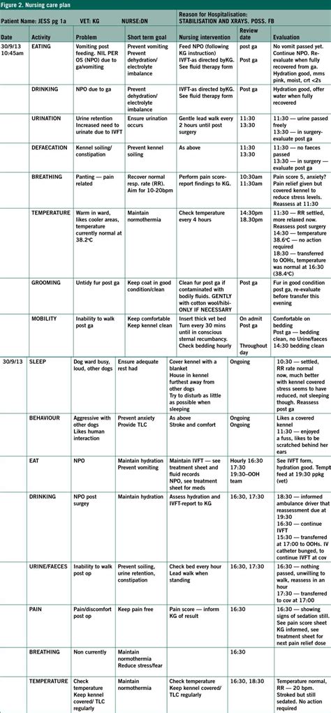 Ability Model Care Plan Template