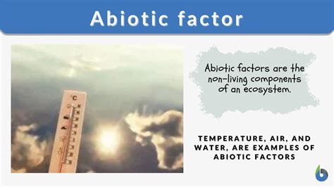 Abiotic Factor Online Fix
