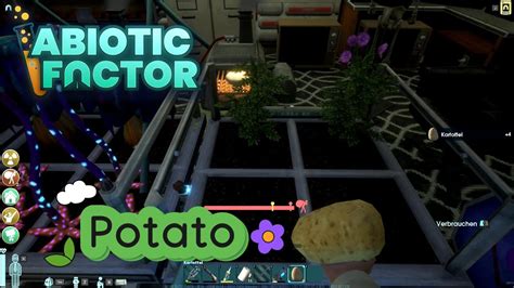 Abiotic Factor Potato