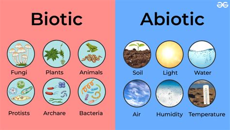 Abiotic Vs Biotic