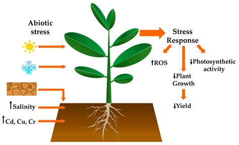 Read Online Abiotic Stress Response In Plants 