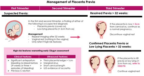 Abnormalities Of Placenta