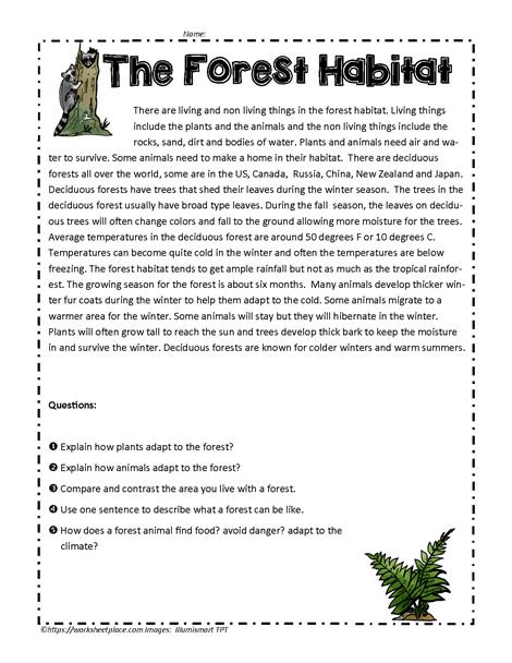 About Habitats Forests 2nd Grade Reading Forest Habitat Coloring Pages - Forest Habitat Coloring Pages