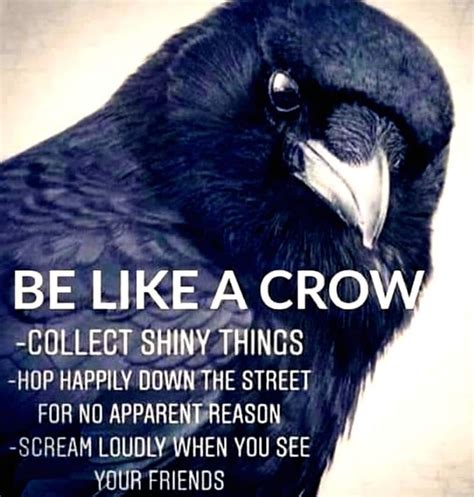 about you crow