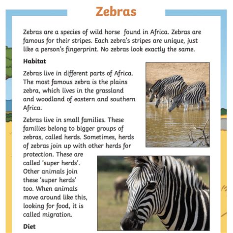 About Zebra Paragraph With Short Sentences For Class 5 Sentences About Zebra - 5 Sentences About Zebra