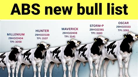 Abs Bull List