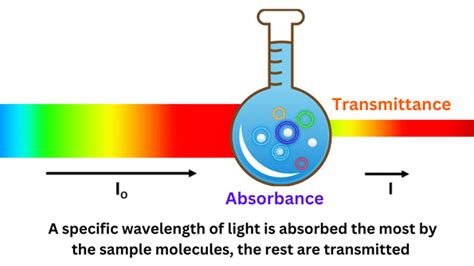 Absorbance Measurement