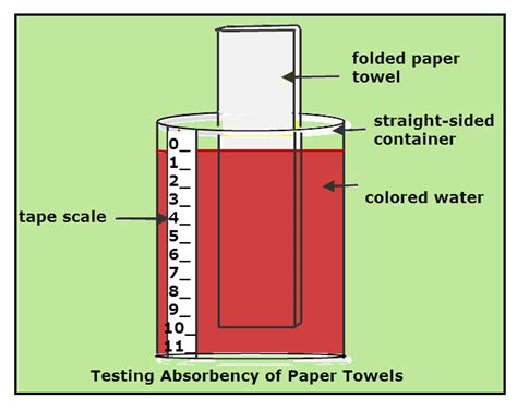 Absorbency Of Paper Towels Experiment