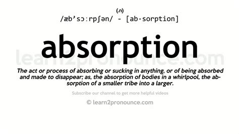 Absorption Definition Amp Meaning Merriam Webster Absorption Science - Absorption Science