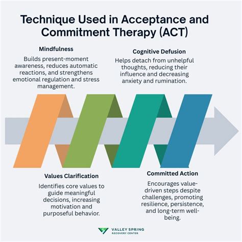 Acceptance And Commitment Therapy Measures Package