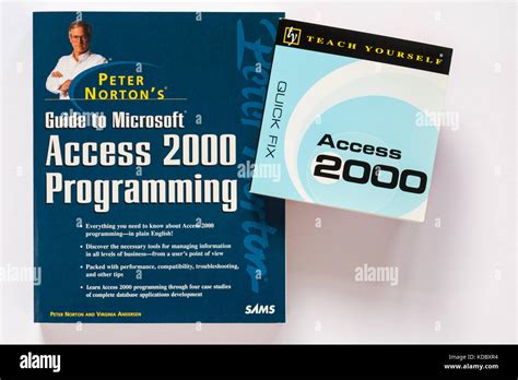 access 2000 programmation avec cd rom