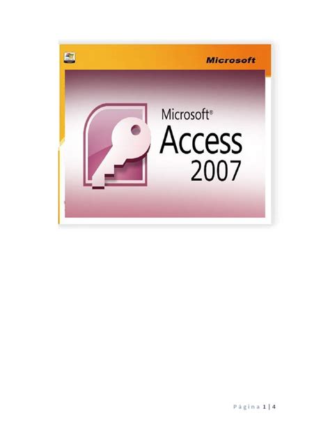 Access 2007 V B A Bible: For Data Centric Microsoft Office Applications