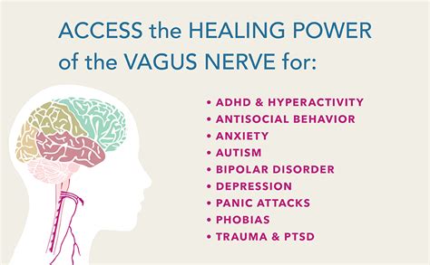 Read Accessing The Healing Power Of The Vagus Nerve Self Help Exercises For Anxiety Depression Trauma And Autism 