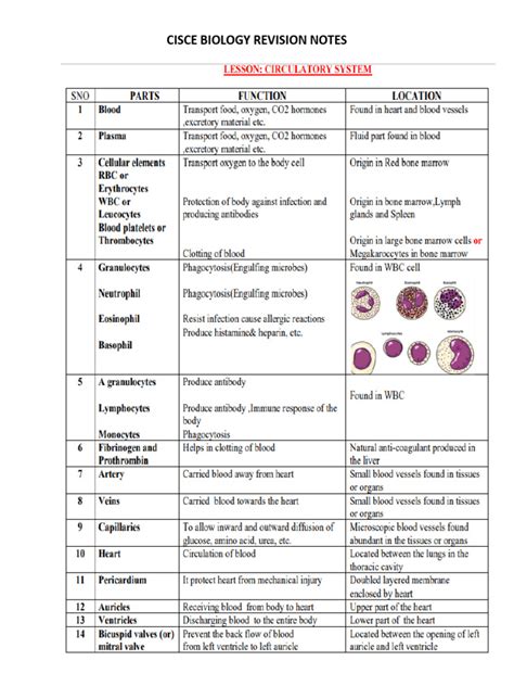accn4 revision notes