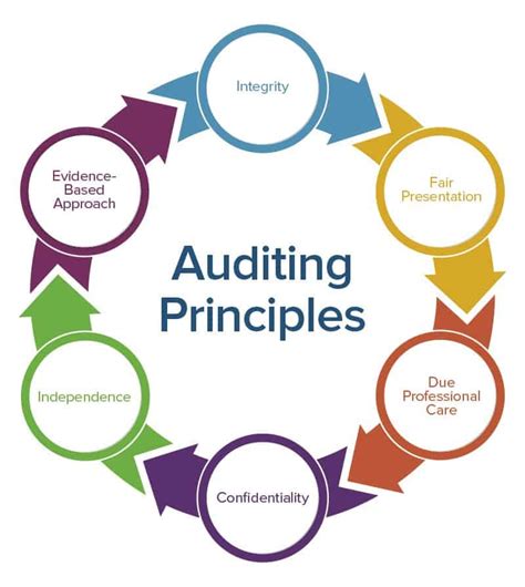 Read Accounting Principles Solutions Auditing 