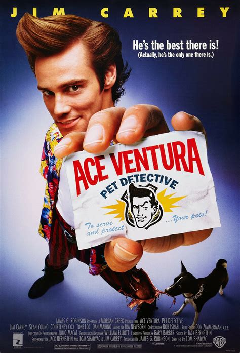 Ace Pet Detective