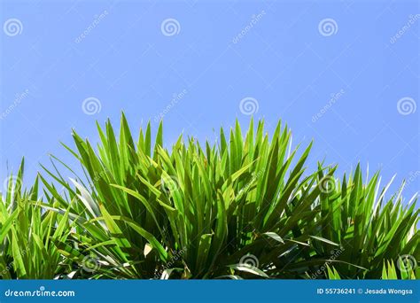 achtergrond definitie