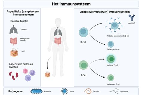 achtergrondinformatie