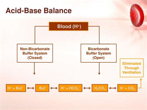 Acid Base Balance Ppt