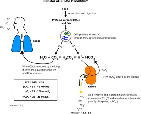 Acid Base Physiology