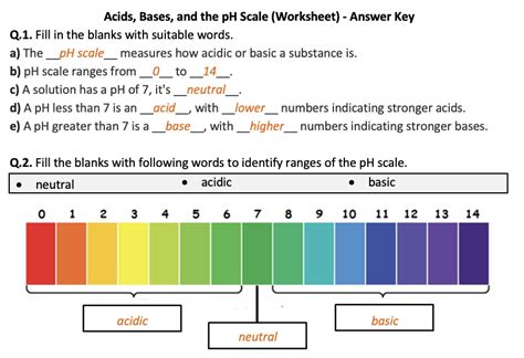 Acid Base Worksheet Middle School   Acids And Bases Worksheet Middle School - Acid Base Worksheet Middle School