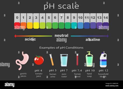 Acidic Solution