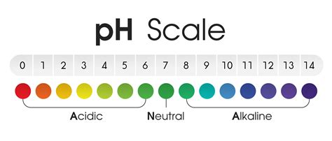 Acids Amp Alkalis And The Ph Scale Lesson Ph Scale Worksheet Middle School - Ph Scale Worksheet Middle School
