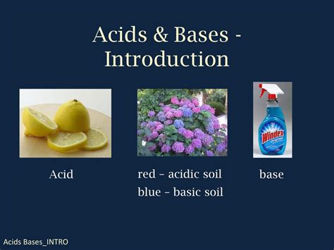 acids and bases 1 introduction answer key