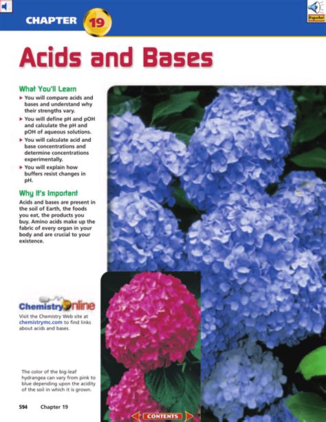 Acids And Bases Chapter 19 Answers
