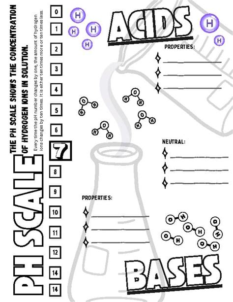 Acids And Bases Coloring Answer Key