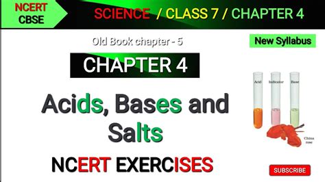 Download Acids And Bases Chapter Assessment Answers 