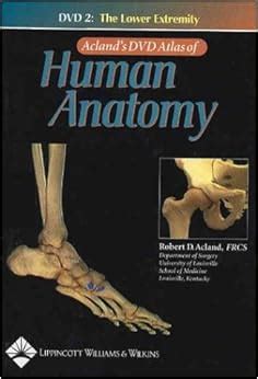 acland anatomy videos lower limb