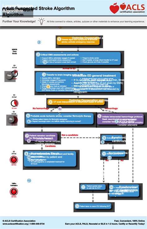 Download Acls 2012 Guidelines 