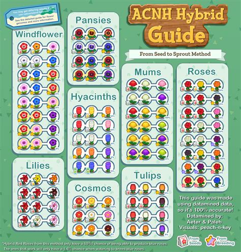 Acnh Flower Breeding Guide