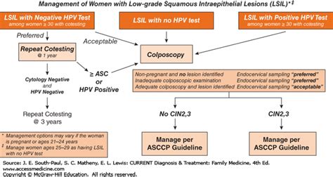 Acog Pap Guidelines Algorithm