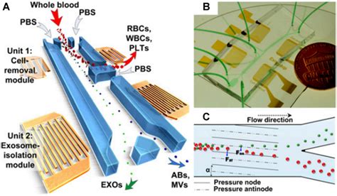 Acoustofluidic Exosome Separation