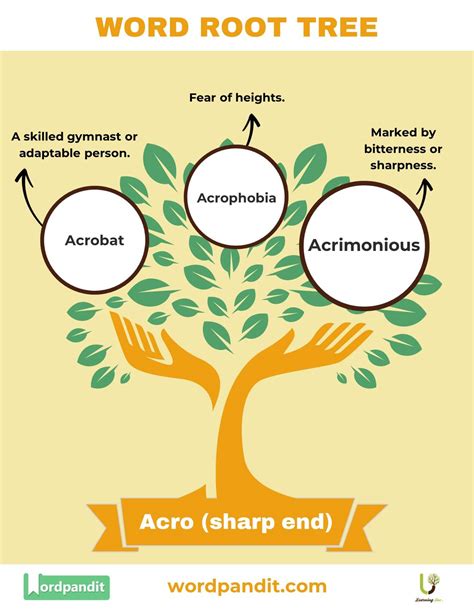 Acro Meaning