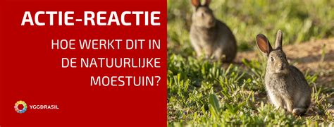actie reactie principe