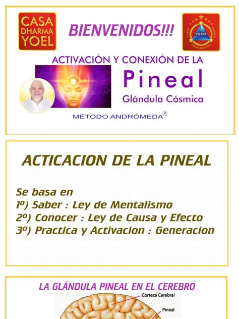 Activacion Pineal 4